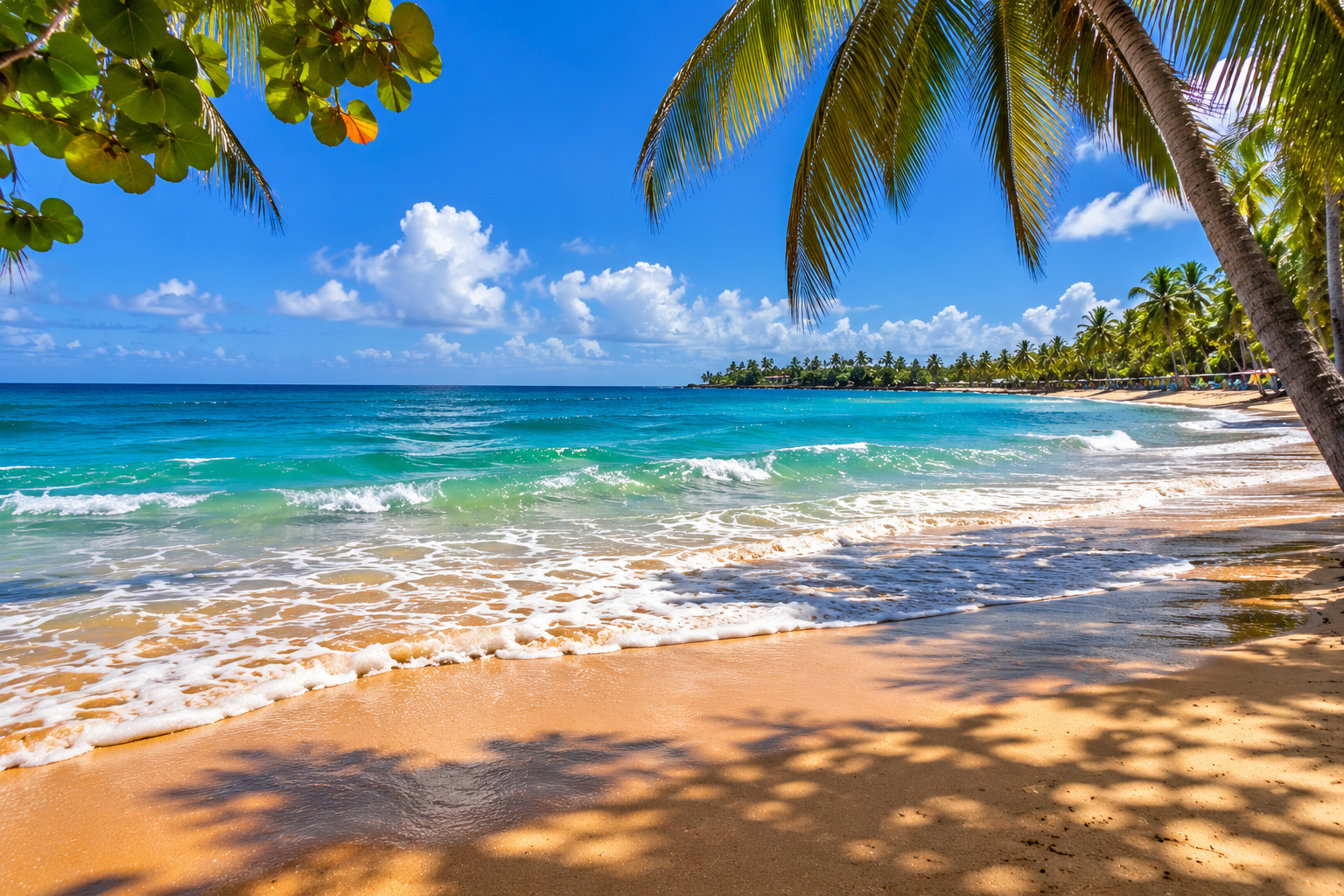 Tropical beach